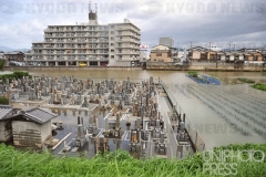 台風18号_冠水した墓地_2013年_京都府_KDO_2013091600281