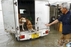 道路が冠水_佐賀県_2019年_KDO_2019072100322