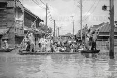 ジェーン台風_大阪_1950年_KDO_2013121900961