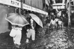 台風16号_大阪府_1979年_KDO_2016062000232