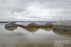 冠水した農地_新潟県_2011年_KDO_2011073000300