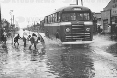 大雨_東京都江戸川区_1950年_KDO_2013102200115