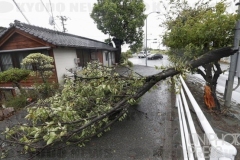 台風10号_熊本県_KDO_2024083010600