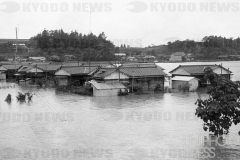 ３６・６集中豪雨_茨城県_1961年_KDO_2008102800613