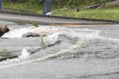 大雨_鹿児島県_2021年_KDO_2021071011219-5